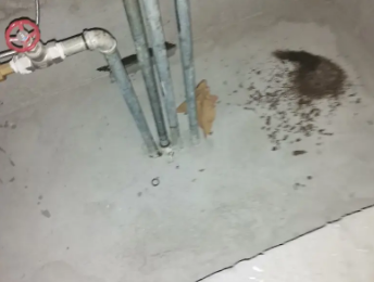 五原卫生间测漏水价格明细