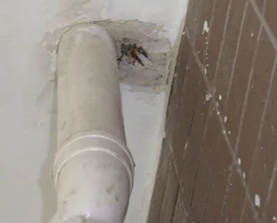 五原漏水检测哪家好